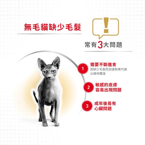 Royal Canin 法國皇家貓乾糧 - 無毛成貓 Sphynx Adult 2kg