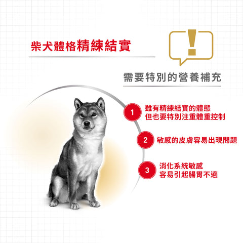 Royal Canin 法國皇家狗乾糧 - 柴犬成犬專屬配方 Shiba Inu Adult 4kg