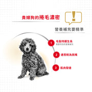 Royal Canin 法國皇家狗濕糧 - 貴婦狗成犬專屬配方 (肉塊) Poodle Adult (Loaf) 85g