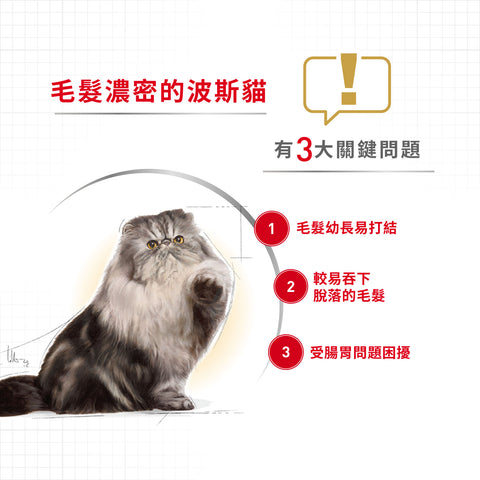 Royal Canin 法國皇家貓濕糧 - 波斯成貓 (肉塊) Persian Adult (Loaf) 85g