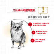 Royal Canin 法國皇家狗濕糧 - 芝娃娃成犬專屬配方 (肉塊) Chihuahua Adult (Loaf) 85g