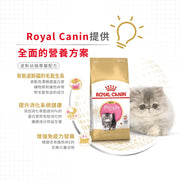 Royal Canin 法國皇家幼貓乾糧 - 波斯幼貓 Persian Kitten