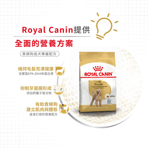 Royal Canin 法國皇家狗乾糧 - 貴婦狗成犬專屬配方 Poodle Adult