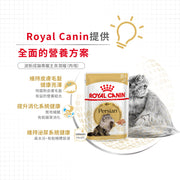 Royal Canin 法國皇家貓濕糧 - 波斯成貓 (肉塊) Persian Adult (Loaf) 85g