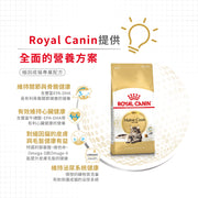 Royal Canin 法國皇家貓乾糧 - 緬因成貓 Maine Coon Adult