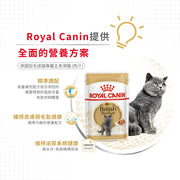 Royal Canin 法國皇家貓濕糧 - 英國短毛成貓 (肉汁) British Shorthair Adult (Gravy) 85g