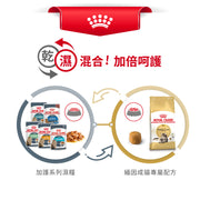 Royal Canin 法國皇家貓乾糧 - 緬因成貓 Maine Coon Adult