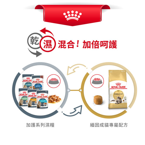 Royal Canin 法國皇家貓乾糧 - 緬因成貓 Maine Coon Adult