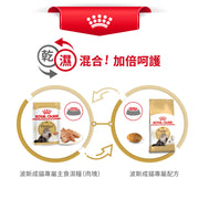 Royal Canin 法國皇家貓濕糧 - 波斯成貓 (肉塊) Persian Adult (Loaf) 85g