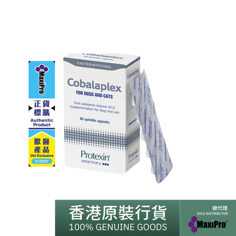 PROTEXIN COBALAPLEX 維他命B12及B9補充劑 60 粒裝 英國製造 cobalamin (vitamin B12) and folate (vitamin B9) levels in dogs and cats
