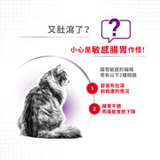 Royal Canin 法國皇家貓乾糧 - 腸胃敏感配方 Regular Sensible