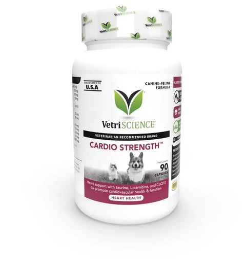l carnitine good or bad L-carnitine: Its Benefits, Sources And Side Effects l carnitine good or bad L-carnitine: Its Benefits, Sources And Side Effects