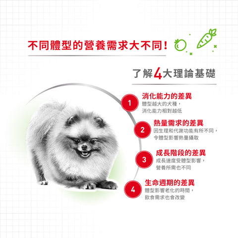 Royal Canin 法國皇家狗乾糧 - 超小型成犬8+營養配方 X-Small Adult 8+