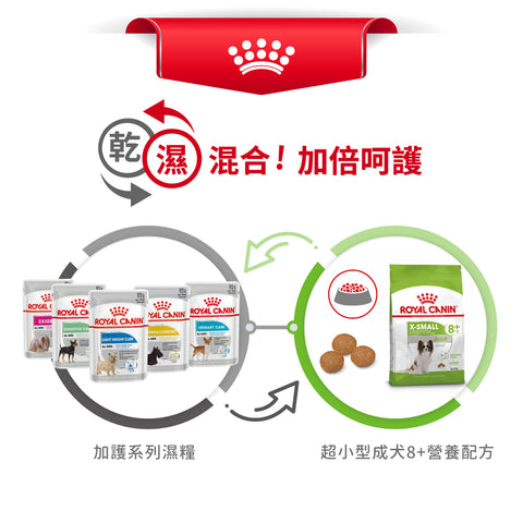 Royal Canin 法國皇家狗乾糧 - 超小型成犬8+營養配方 X-Small Adult 8+