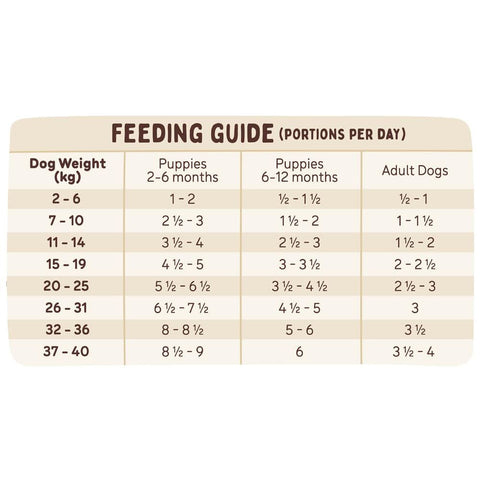 [急凍貨品] Big Dog 急凍狗糧 - 火雞配方 3kg