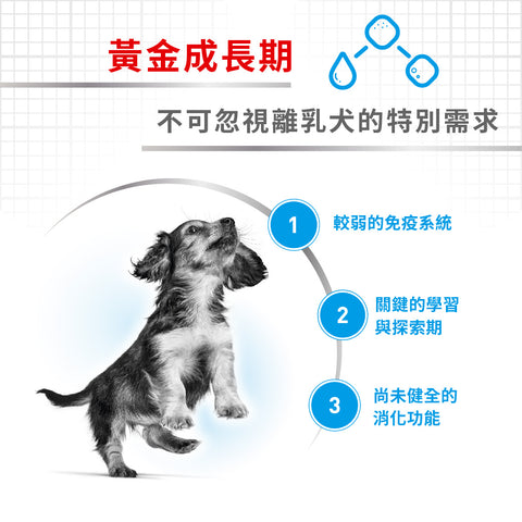 Royal Canin 法國皇家狗乾糧 - 小型初生犬及母犬營養配方 DOG MINI STARTER MOTHER & BABYDOG DRY 3kg