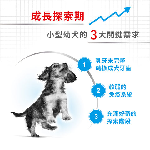 Royal Canin 法國皇家幼犬濕糧 - 小型幼犬 (肉汁) DOG MINI PUPPY WET 85g