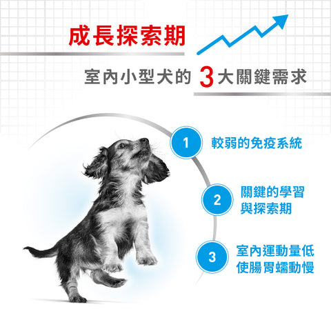 Royal Canin 法國皇家幼犬乾糧 - 室內小型幼犬營養配方 DOG MINI INDOOR PUPPY DRY