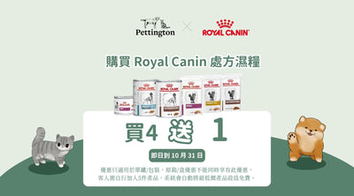 指定濕糧買4送1