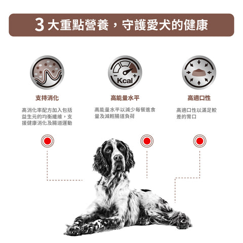 Royal Canin - 成犬腸胃處方濕糧罐頭400g / Canine Gastro Intestinal 400g