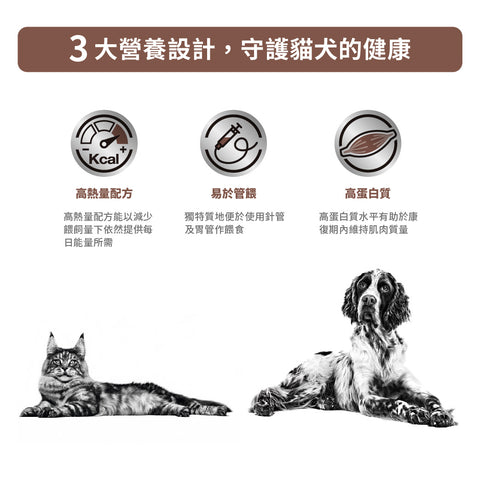 Royal Canin - ICU重症營養補給處方（貓/犬用）濕糧罐頭 195g/Recovery For Dogs/Cats 195g
