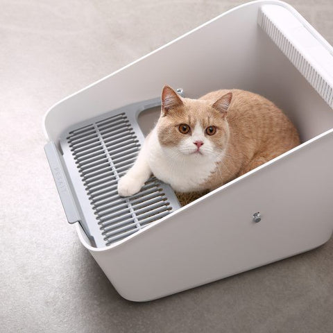 PETKIT 貓砂盤 - Pura Cat感應式自動除臭貓廁所