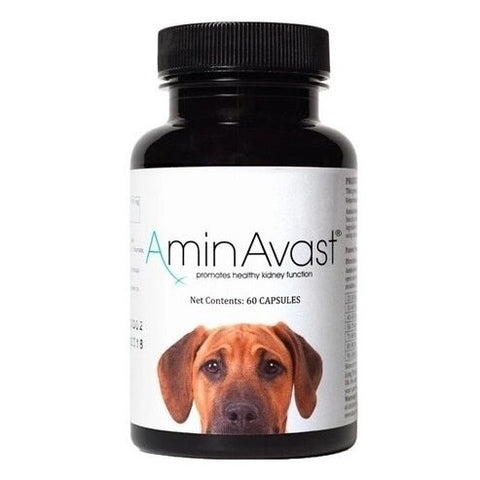 AminAvast Dogs 60 capsules 胺腎 腎臟保健營養保充劑 狗專用