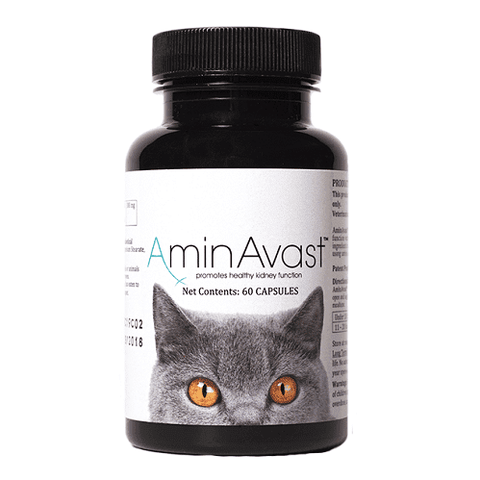 AminAvast Kidney Support Supplement for Cats 胺腎 腎臟保健營養保充劑 腎貓專用 60粒/p