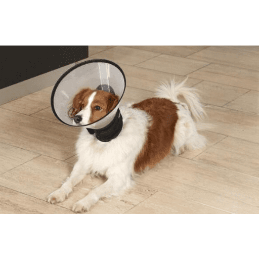 BUSTER 膠狗頸圈 Buster Complete Dog Collar Pettington 柏靈頓獸醫寵物用品