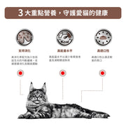 Royal Canin - 成貓腸胃處方濕糧 85g/Feline Gastro Intestinal Pouch 85g