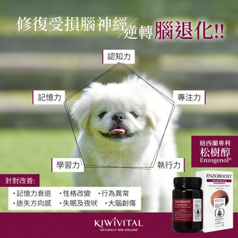 Kiwivital Enzoboost 120G 寵物專用松樹醇腦神經醫學級配方保健粉 120g