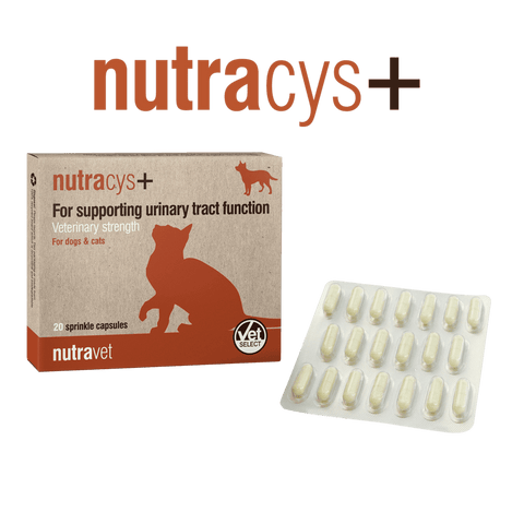 NUTRAVET NUTRACYS 促進泌尿道功能健康 營養膠囊 貓狗合用 每盒220粒膠囊