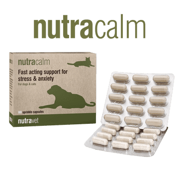 Nutravet - Nutracalm情緒/行為護理補充膠囊 (貓狗適用) 每盒60粒膠囊