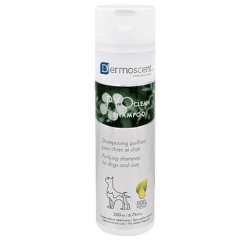 Pet Show 2025 DERMOSCENT PYOclean 抗菌消炎洗毛水200ml