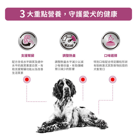 Royal Canin - 成犬腎臟處方糧 / Renal Dry Food For Dogs