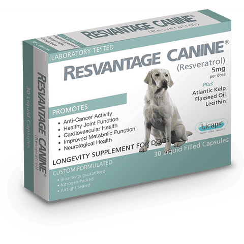 Resvantage® 白藜蘆醇犬用保健品-老年及癌症犬配方(30粒裝)