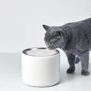 PETKIT 寵物智能飲水機 - Eversweet 3代 - 不鏽鋼白色 1.35L