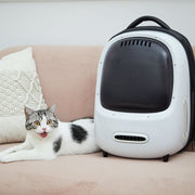 PETKIT 貓背囊 - Breezy智能換氣背囊 - 牛油果綠